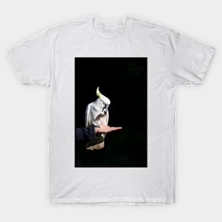 Sulphur Crested Cockatoo T-Shirt